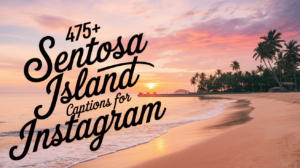475+ Sentosa Island Captions For Instagram
