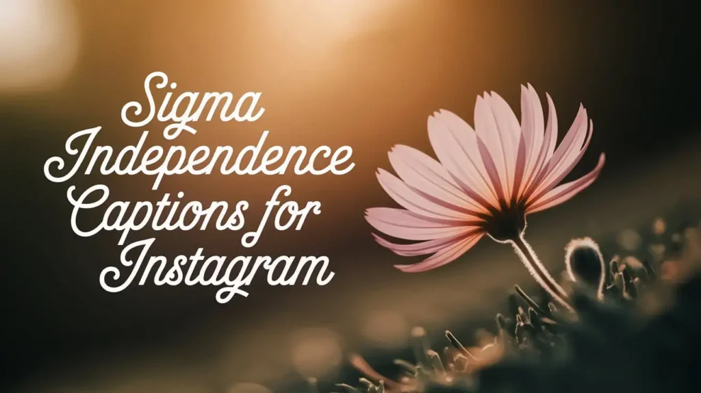 Sigma Independence Captions for Instagram