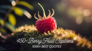 450+ Berry Fruit Captions: 1000+ Best Quotes