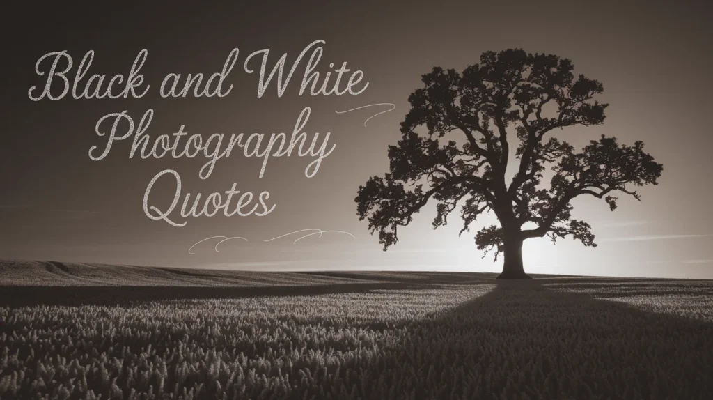Black and White Photography Quotes