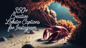 350+ Creative Lobster Captions for Instagram