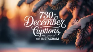 730+ December Captions and Quotes for Instagram