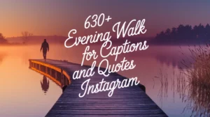 630+ Evening Walk Captions and Quotes for Instagram