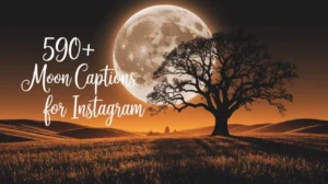 590+ Moon Captions for Instagram