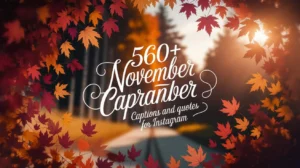 560+ November Captions and Quotes for Instagram