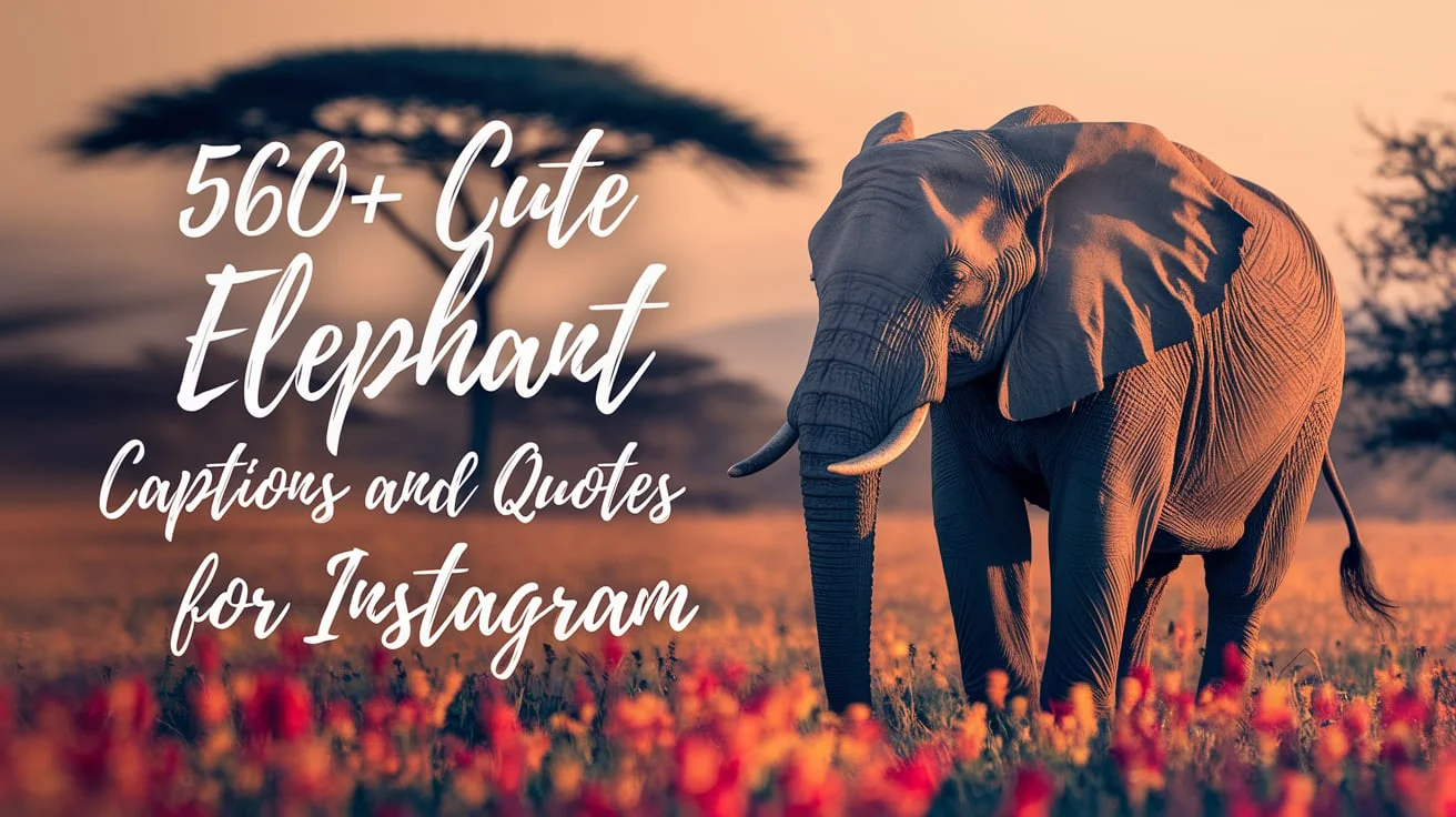 Cute Elephant Captions and Quotes for Instagram