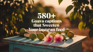 Guava Captions