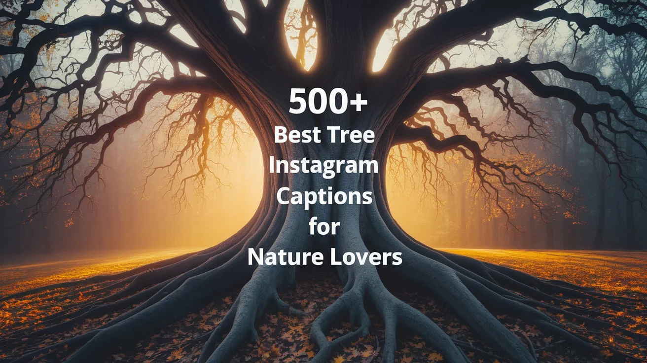 Tree Instagram Captions for Nature Lovers